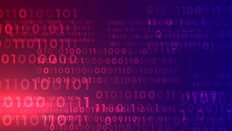 Website development on 5CMS