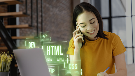 Website development on SEOCMS on Yii-framework / Yii2