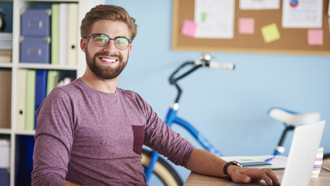 Website development on SyDES