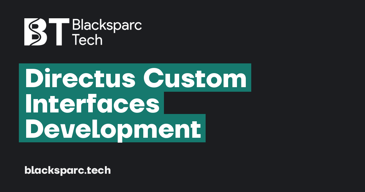 Directus Custom Interfaces Development — Web, mobile, parsers and games ...